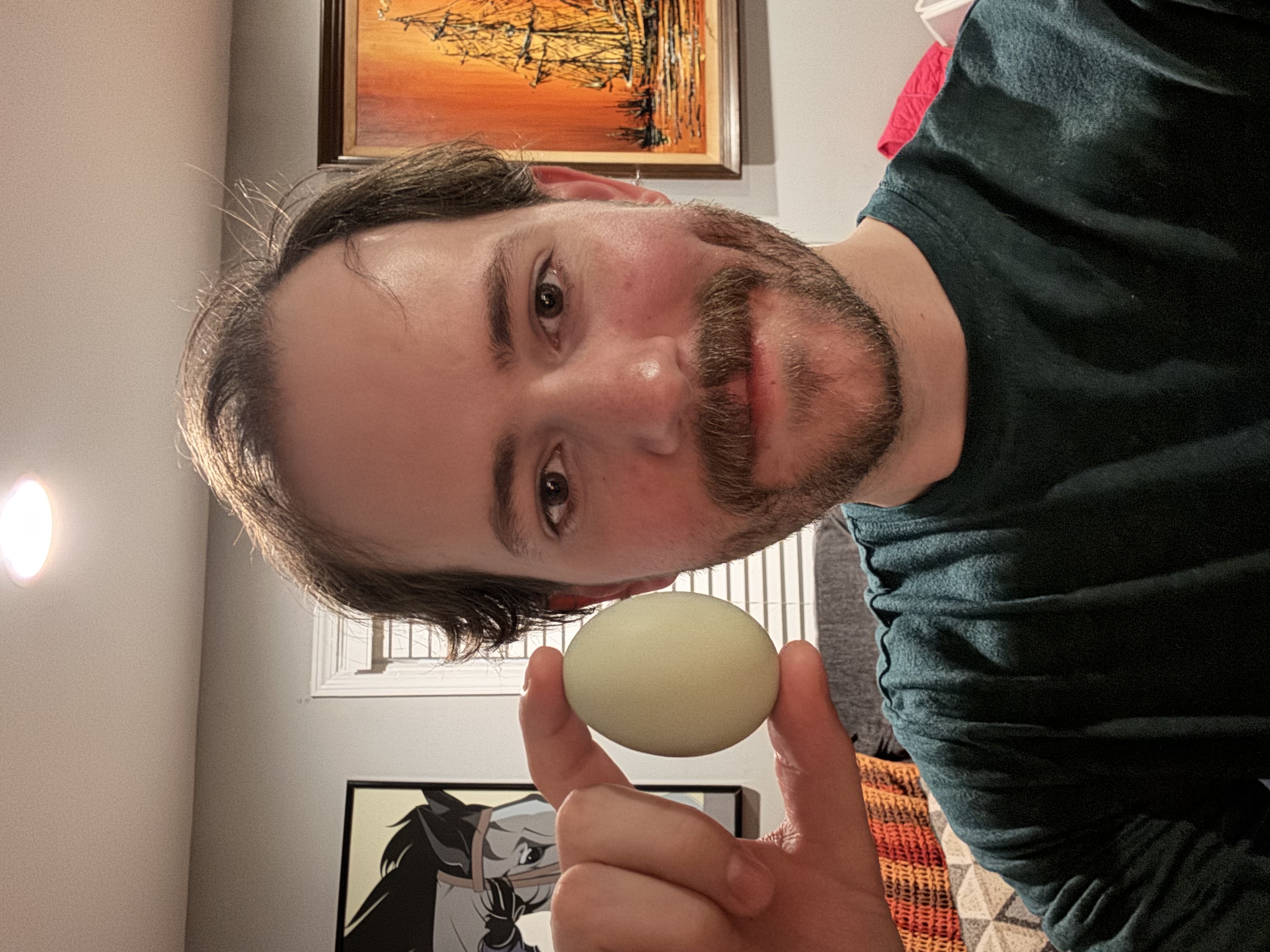 Freshly gathered eggs at Cherrywood Farm