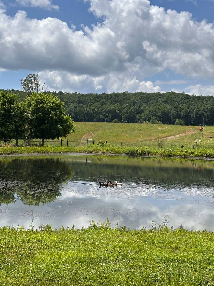 Glamping Adventure | Farm | Fish | River | Golf